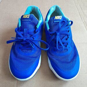 Nike Flex Experience RN 4 Men’s Shoe Size 7 Women’s 8.5 Kid 7y Blue 749807- 401